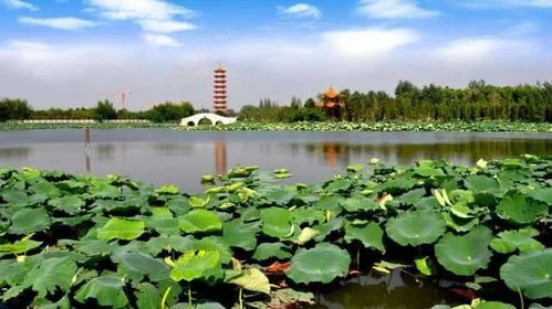 潜江市房产怎么查证