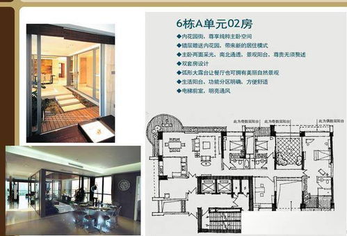 怎么提取房产规划图 怎么提取房产规划图