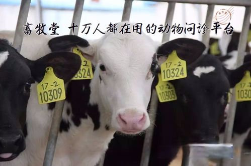 怎么防止女方骗婚骗房产 怎么防止女方骗婚骗房产