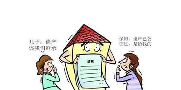 继承房产遗产法院怎么判