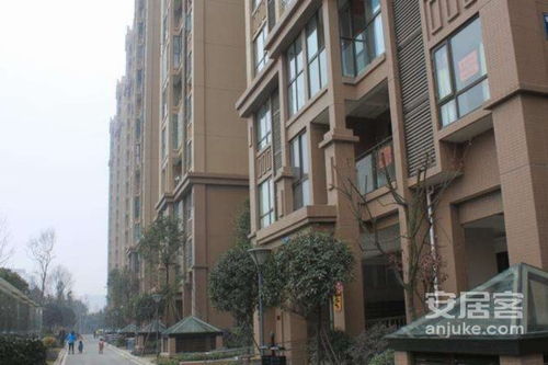 金枫房产怎么样