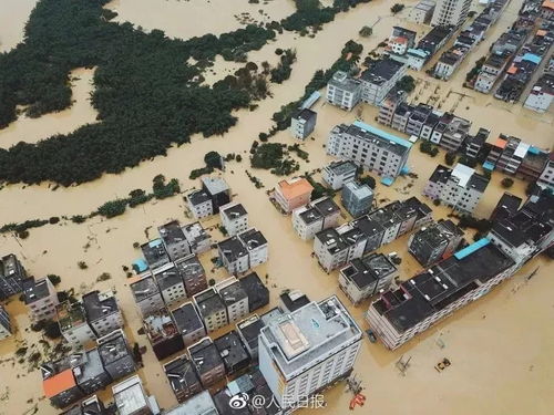 发洪水房产怎么办 发洪水房产怎么办