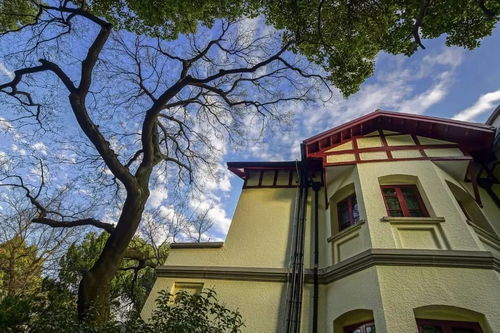 老洋房产权怎么分 老洋房产权怎么分