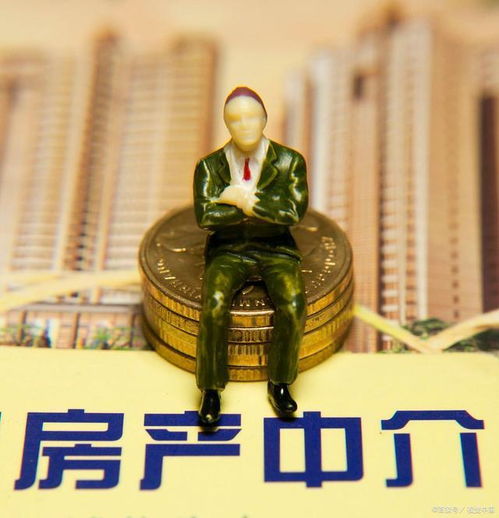 应聘房产中介怎么写