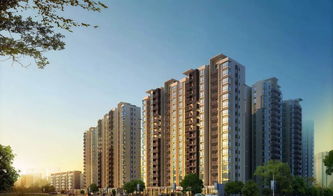 好旺宅房产怎么样