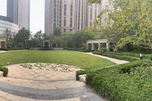 大新源房产怎么样