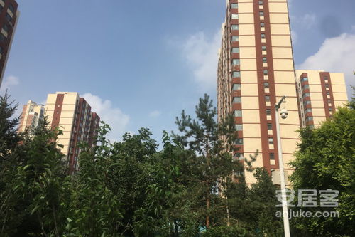 济宁中意房产怎么样