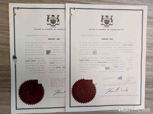 房产视频号个人怎么认证