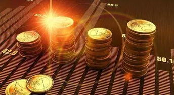 不良房产尽职调查怎么写