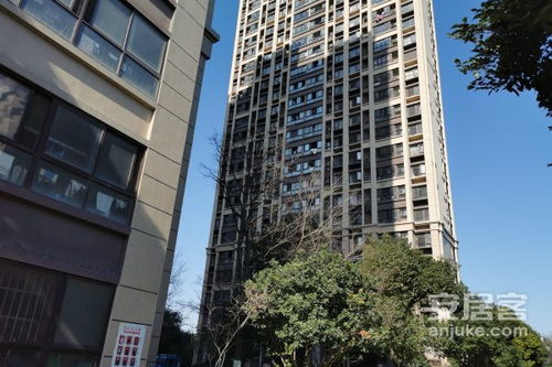 苏州大麦房产怎么样