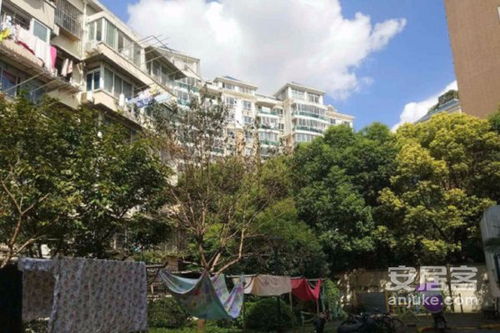 诸城贝尔房产怎么样