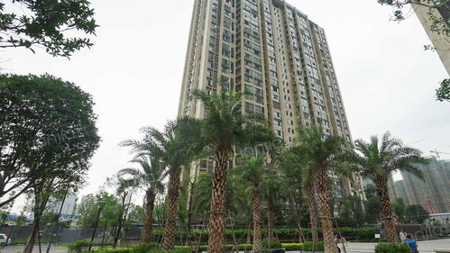 成都林洁房产怎么样