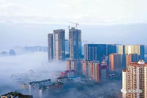 成都林洁房产怎么样