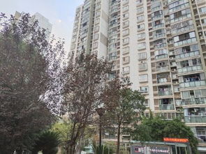 乐平国信房产怎么样