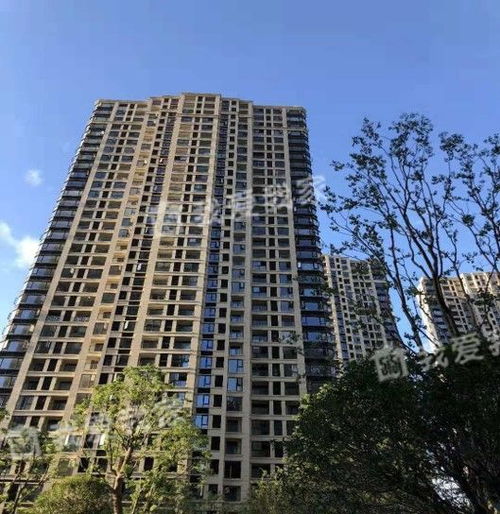 杭州博采房产怎么样