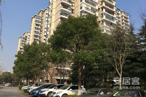 大亚湾星辰房产怎么样