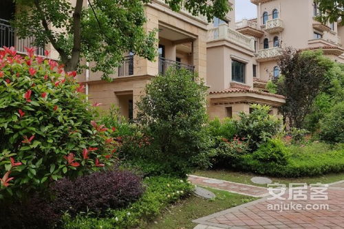 大明房产代理怎么样