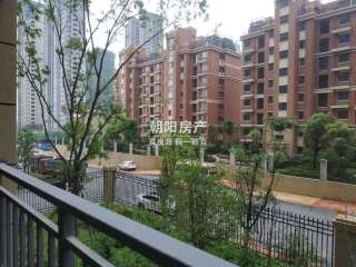 安徽怎么在网上查房产