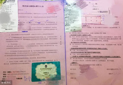 房产证怎么挂树上