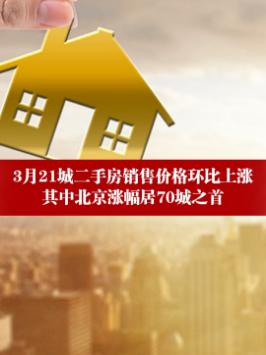 房产销售怎么涨粉丝