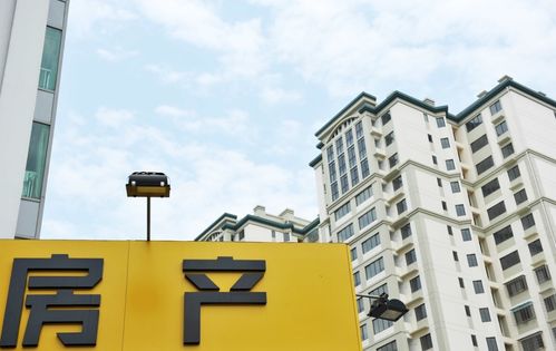 房产归属位置怎么填最好