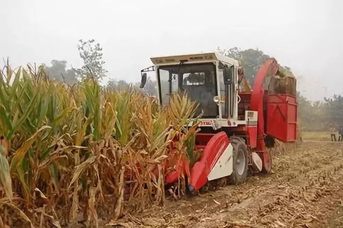 房产归属位置怎么填最好