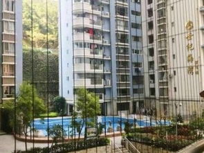 禹州没房产怎么上学的