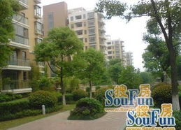 洛阳房产怎么买房子