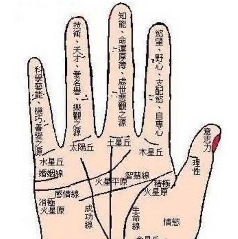 怎么看手相看房产