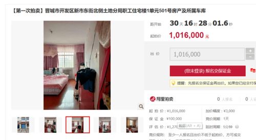 淘宝拍卖房产怎么出价