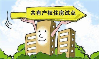 共同共有房产怎么出租