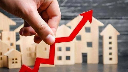 自然人房产怎么分