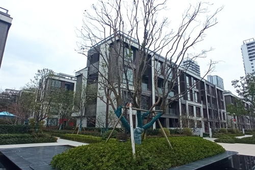 花语江南房产怎么样