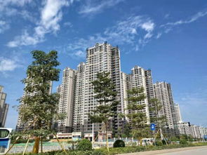 广州郊区房产怎么样 广州郊区房产怎么样