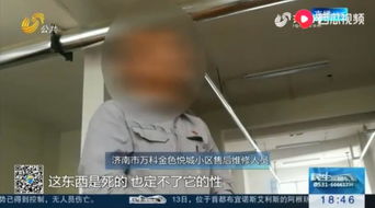 房产质保期过怎么处理