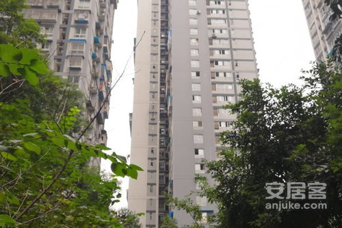 临江的房产怎么样