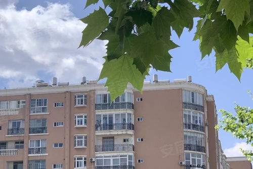 临江的房产怎么样