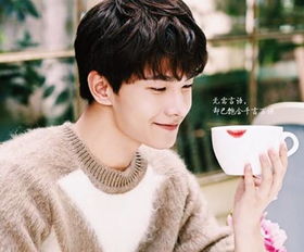 杨洋房产怎么样 杨洋房产怎么样