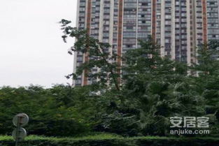 新都大丰房产怎么样 新都大丰房产怎么样