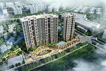 龙大房产怎么样 龙大房产怎么样