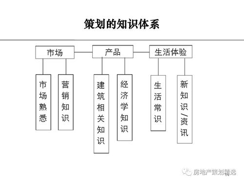 房产策划前景怎么样