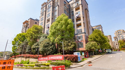 安乐居房产怎么样