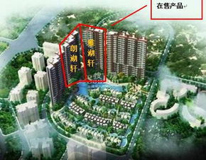 桂房房产怎么了 桂房房产怎么了