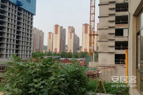 帝华房产怎么样