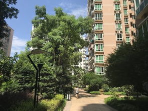 湖州远景房产怎么样