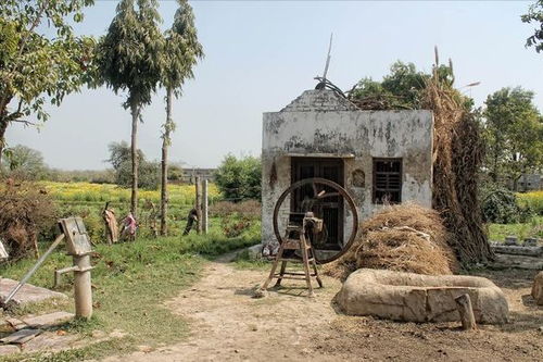 老坟怎么分房产权的