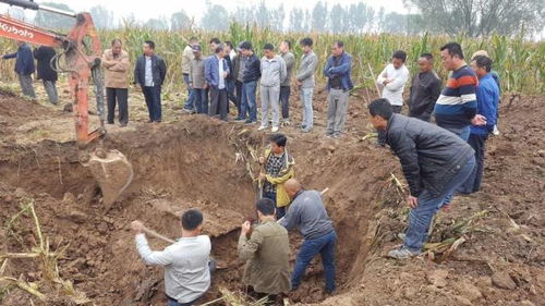 老坟怎么分房产权的