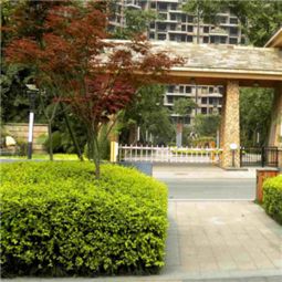 阳江乐邦房产怎么样 阳江乐邦房产怎么样