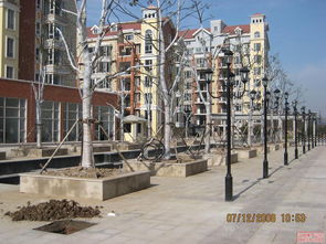 房产大门视频怎么拍摄的