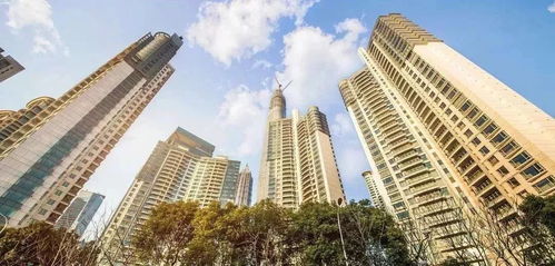 冷门房产名字怎么取